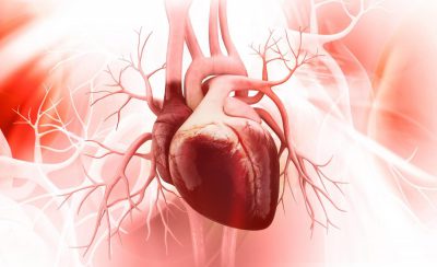 آشنایی با اصطلاحات پزشکی قلب