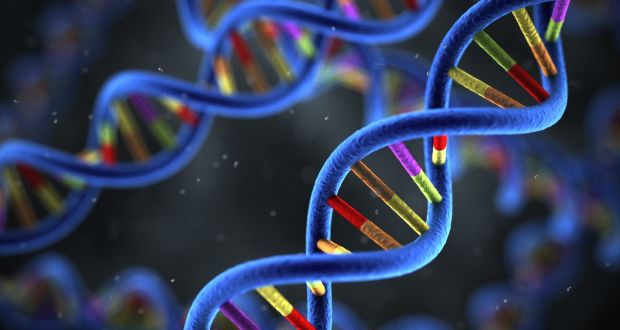 ژنومیک و ژنتیک